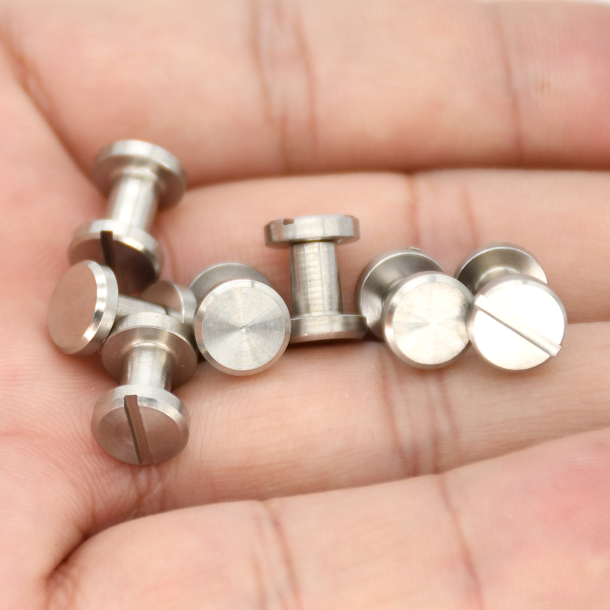 10sets Stainless Steel Binding – Body Jewelry Chicago Bewertung und Preis
