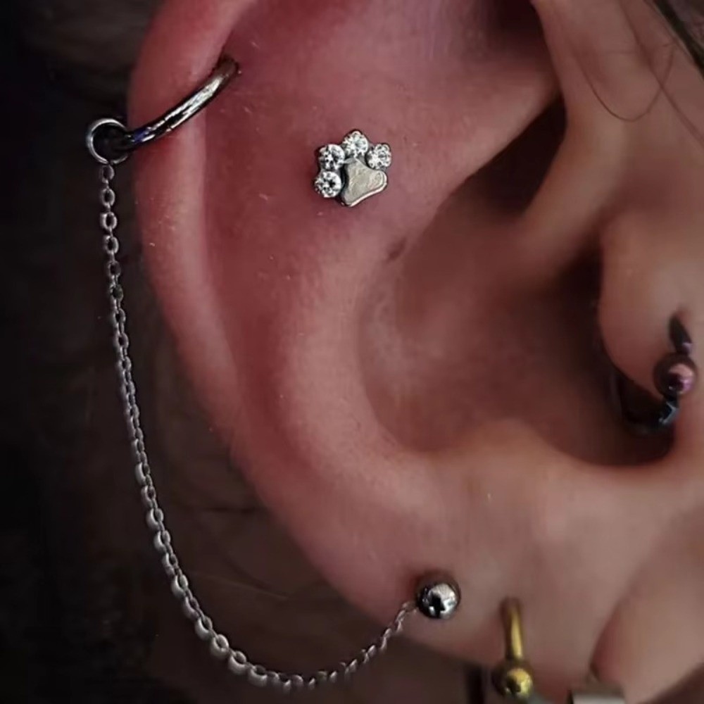 Titanium Nose Chain Three Laye – Body Jewelry And Piercing Bewertung und Preis