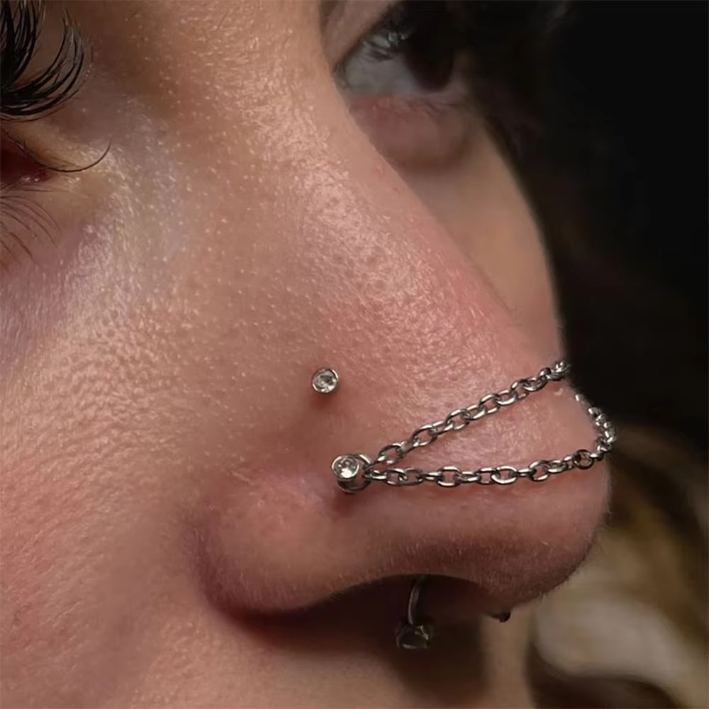 Titanium Nose Chain Double Cha – Body Jewelry And Piercing Bewertung und Preis