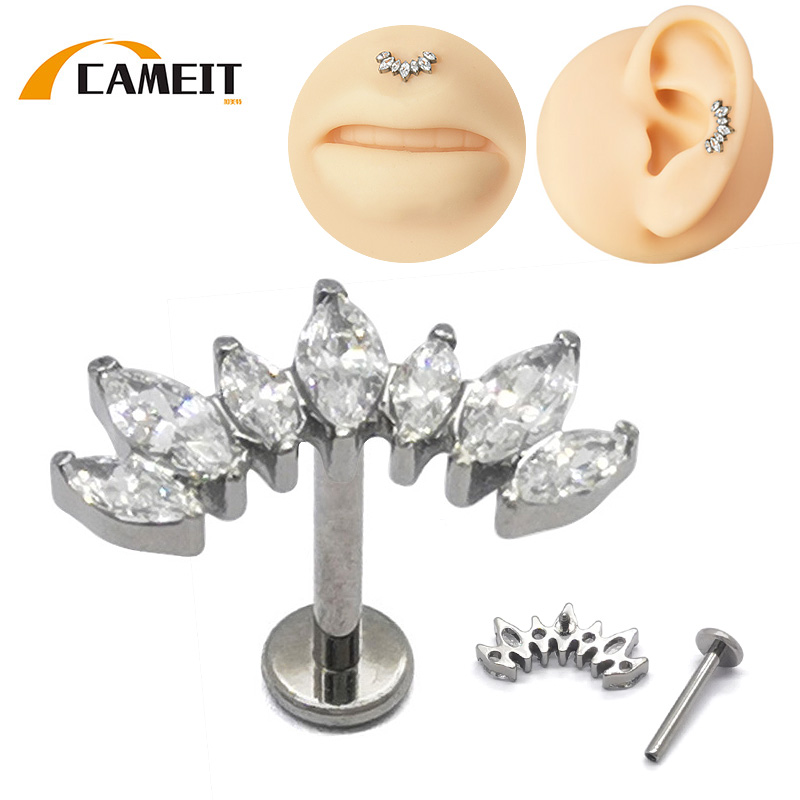 G23 Titanium PIERC 7 Zircon Ma – Cluster Stud Ear Bewertung und Preis