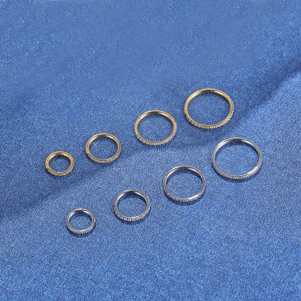 F136 Titanium Nose Ring Implan – Body Jewelry Implant Grade Bewertung und Preis
