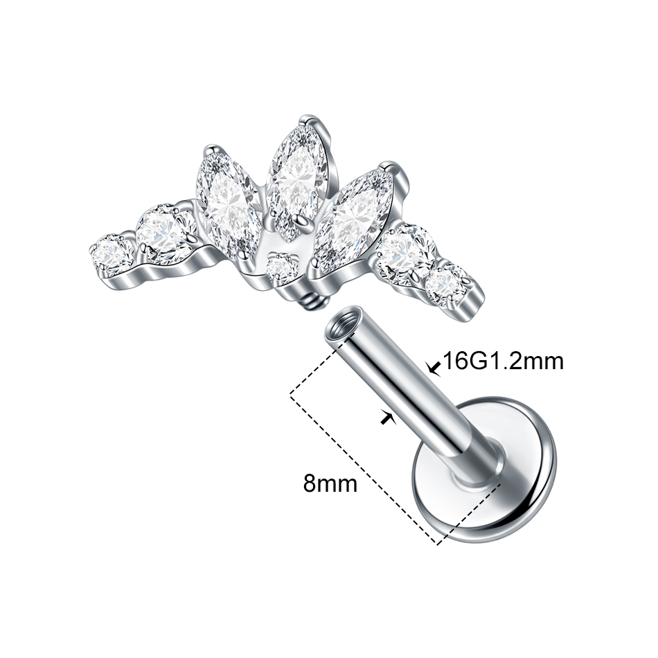 1/5Pcs G23 Titanium Ear Labret – Cluster Stud Ear Bewertung und Preis