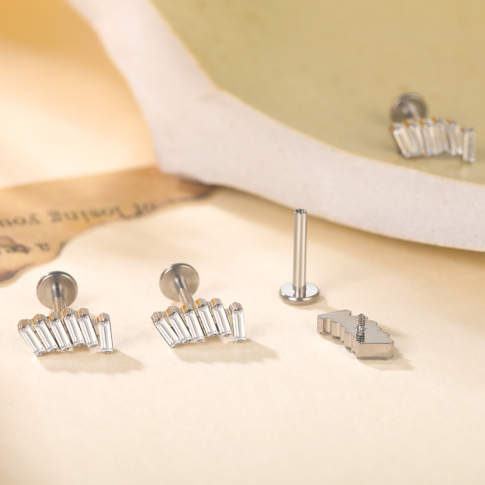 1/5Pcs G23 Titanium Ear Labret – Cluster Stud Ear Bewertung und Preis