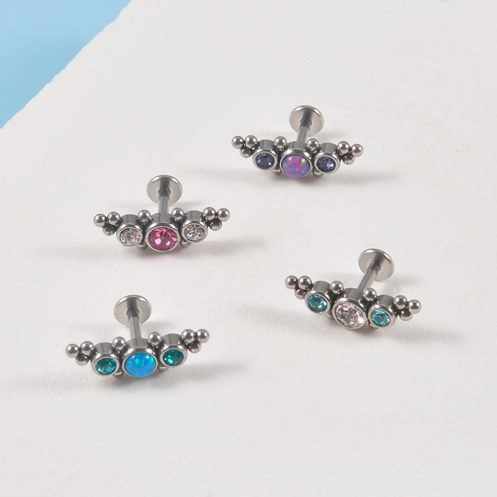 4PCS 316L Surgical Steel 16G   – Cluster Stud Ear Bewertung und Preis