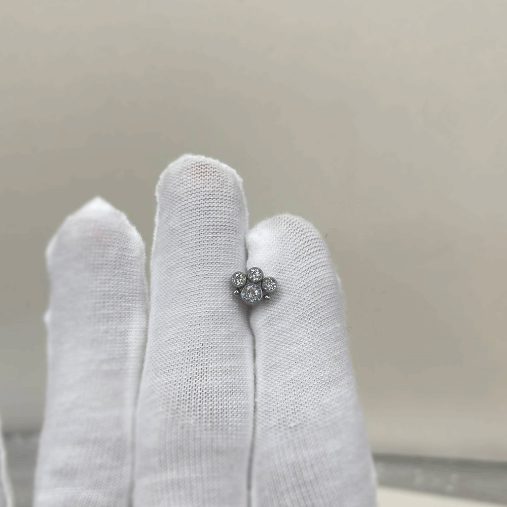 G23 Titanium CZ Zircon Cluster – Cluster Stud Ear Bewertung und Preis