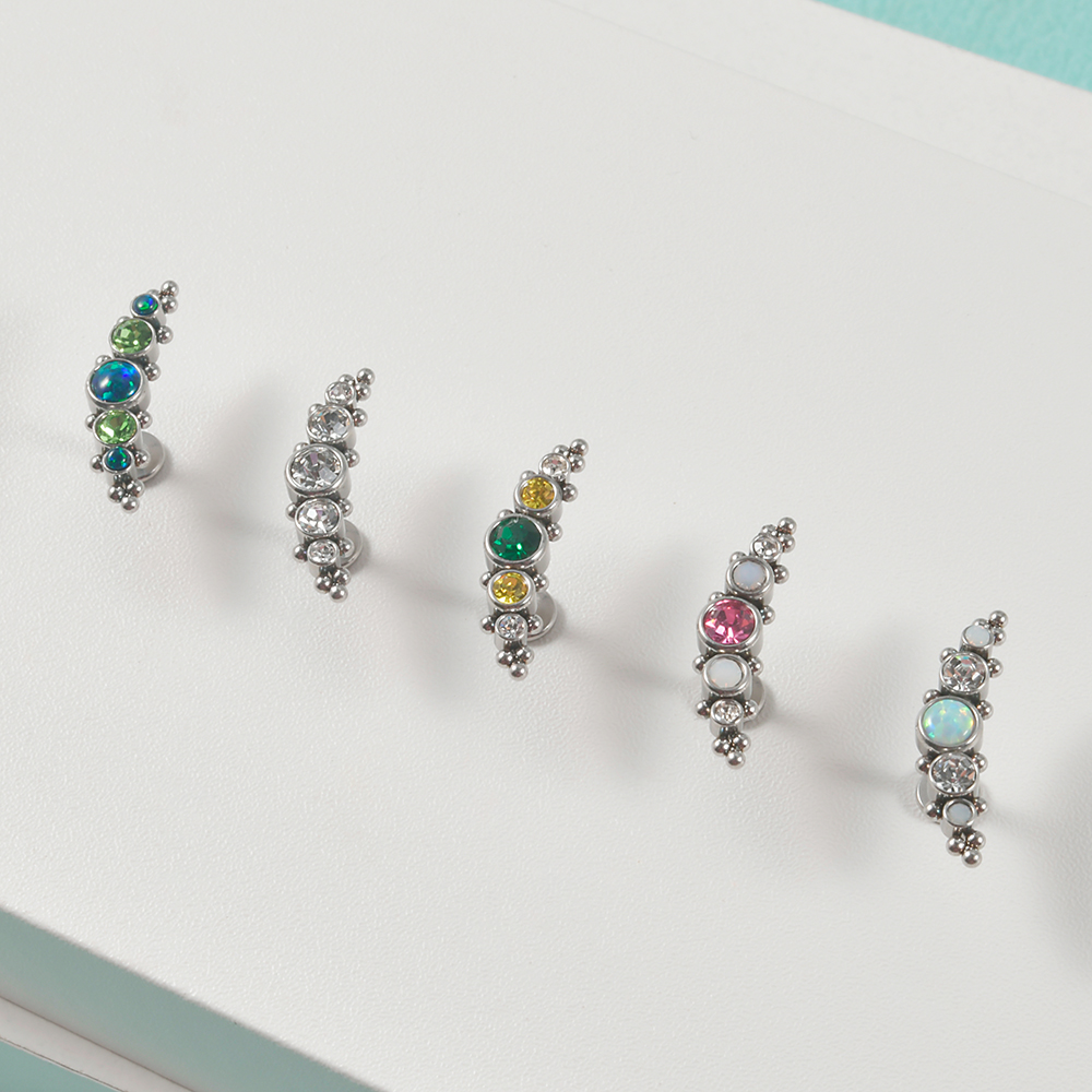 1PC 316L Surgical Steel 16G  C – Cluster Stud Ear Bewertung und Preis