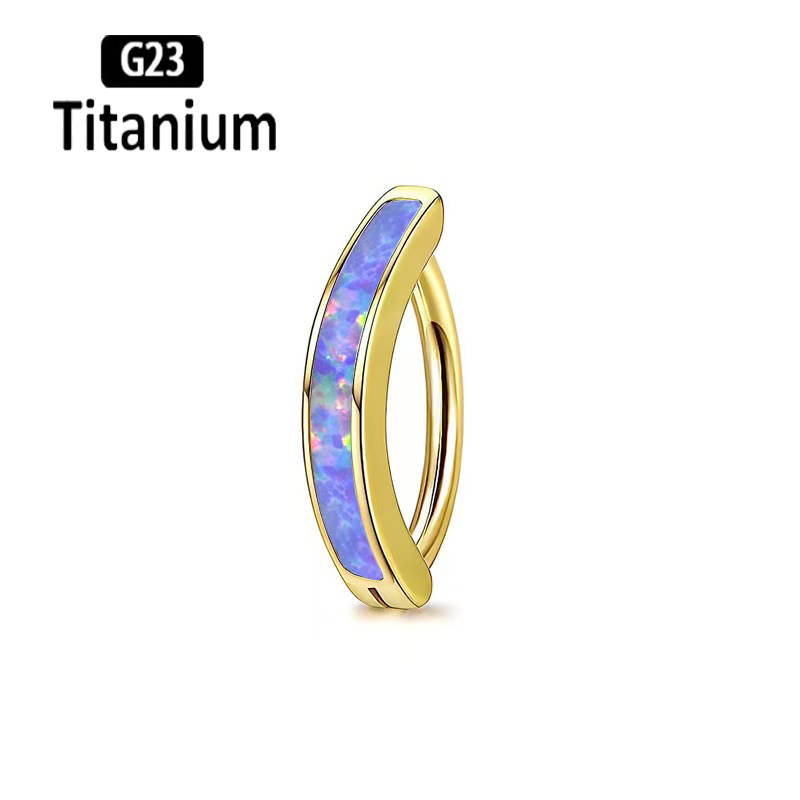 1PC 14G Implant Grade G23 Tita – Body Jewelry Implant Grade Bewertung und Preis