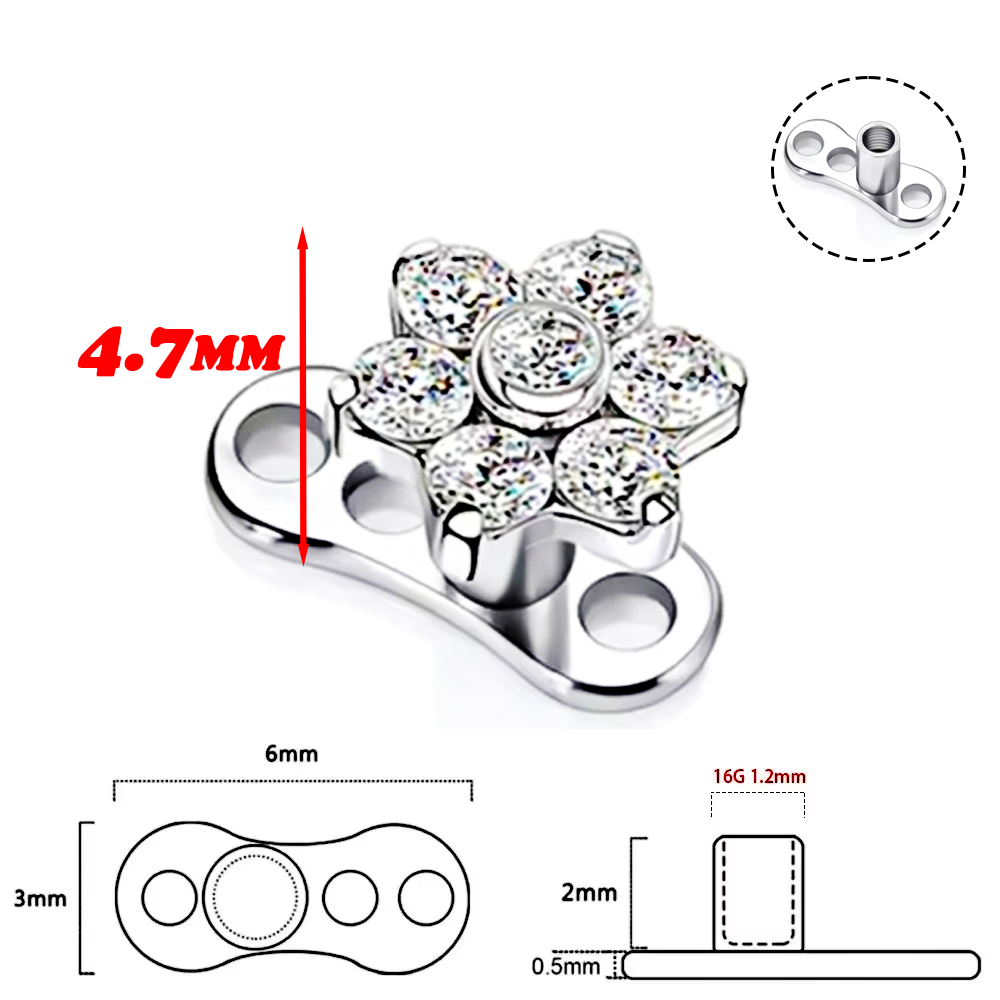 F136 Titanium Alloy High-Quali – Body Jewelry Implant Grade Bewertung und Preis